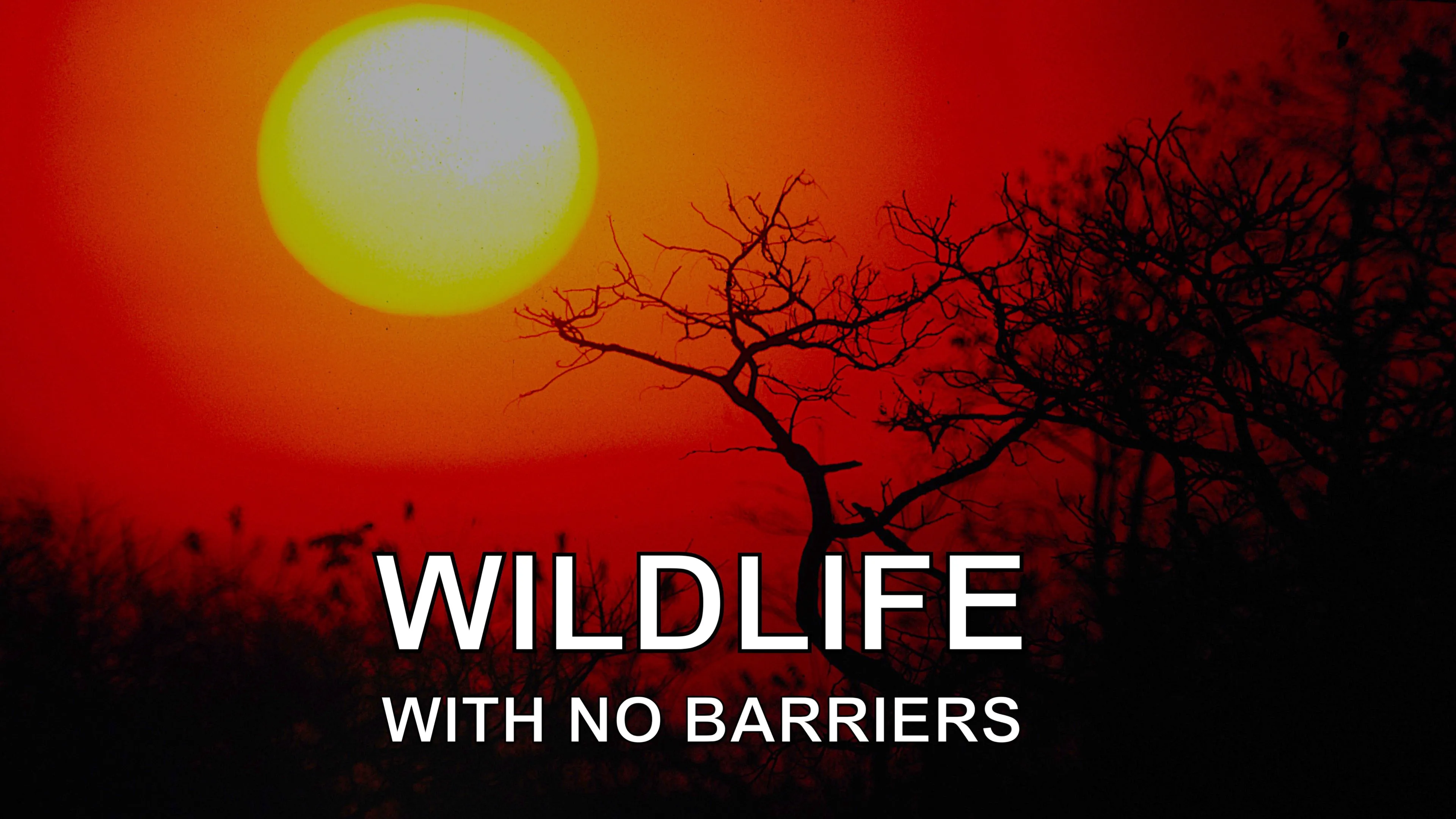 Wildlife With No Barriers poster